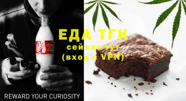 шишки Слюдянка
