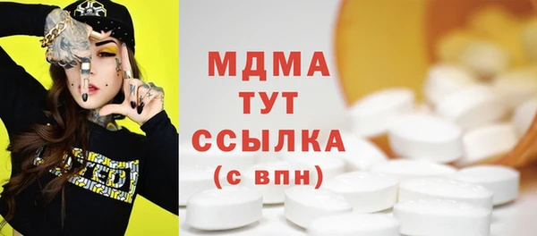 шишки Слюдянка