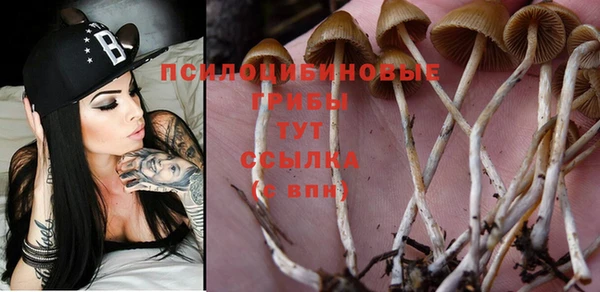 MDMA Балахна
