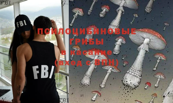 мескалин Снежногорск